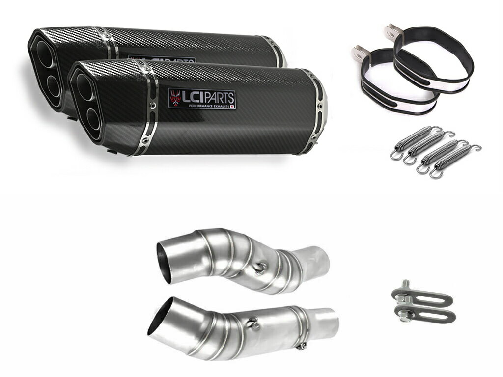 カワサキ Z1000 2010-2019 LCIPARTS LCI ツインエンド カーボン スリップオン マフラー