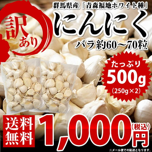 【送料無料】【訳あり】【お試し】群馬県産「青森福地ホワイト種」にんにく（バラ）約500g（60〜70粒入り）※メール便でのお届けとなります。