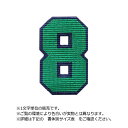 カラフル数字ワッペン(二重枠アイロン番号20cm)