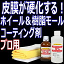ホイール&樹脂モール専用硬化型ガラスコーティング剤「SG-W」100mlセット 検索/アルミホイール ガラス系 ブレーキダスト シラン シリカ 車 鉄粉 プロ用 業務用 クリーナー ホイールコート ホイル 樹脂 パーツ 洗車 車 sio2 セット キャリパー クロス 撥水 汚れ