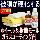 02P01Oct16 ホイール&樹脂モール専用硬化型ガラスコーティング剤「SG-W」プロ推奨セット 検索/アルミホイール ガラス系 ブレーキダスト シラン シリカ 車 鉄粉 プロ用 業務用 クリーナー ホイールコート ホイル 樹脂 パーツ 洗車 車 sio2 セット キャリパー