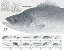 シマノ2019年★魚拓カレンダー★店名印無