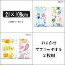 男の子 女の子 おまかせ ディズニー マフラータオル 2枚組 A男の子 B女の子 set0381 メール便は送料無料♪ Disney 子供 こども キッズ ジュニア タオル キャラクター セット 日本製 綿100% コットン パイル