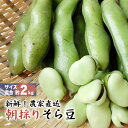 朝採り新鮮!そら豆 2kg BBQに ビールのおつまみに サヤ付き ソラマメ