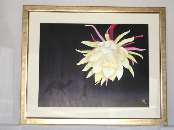 「月の砂漠」月下美人 【送料無料】