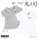 2017夏【SUCRE/シュクル】丸衿付き ブラウス Tシャツ≪90cm 100cm 110cm 120cm 130cm≫子供服 キッズ 女の子 女児 子ども