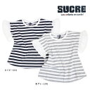 2017夏【SUCRE/シュクル】フリル袖 ボーダー Tシャツ≪90cm 100cm 110cm 120cm 130cm≫子供服 キッズ 女の子 女児 子ども