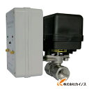 【送料無料】 日本精器 電動ボールバルブ式タイマードレンバルブ15A100V BN-9DM21-15-E-100 BN9DM2115E100 【最安値挑戦 激安 通販 おすすめ 人気 価格 安い おしゃれ】
