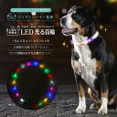 【ポイント5倍!★11/22 20:00~11/27 1:59】 光る首輪 犬 散歩 夜 ライト【ドッグトレーナー監修 】 目立って安心 LEDネックライト 事故防止 小型犬 中型犬 サイズ調節可能 USB 充電式