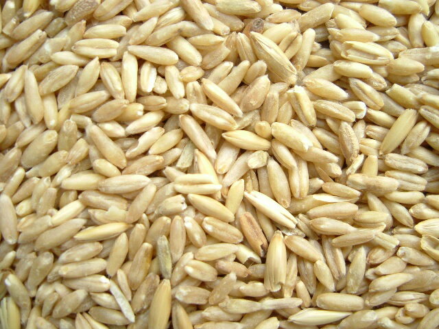 カナダ産ネイキッドオーツ(えん麦：皮なし)1kg高品質のえん麦を1kgあたり200円で販売いたします。