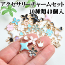 アクセサリーチャームセット 10種類×各4色ずつ 40個セット ゴールド カン付き 《 アクセサリー パーツ チャーム イヤリング ピアス スマホ ネックレス》