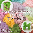 ★タイムセール★数量限定 ドライモス アソート福袋 12個入...