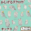 KOKKA かしげる フクロウ オックス 生地 《 ふくろう...