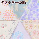 ダブルガーゼ カットクロス 約50×50cm 6枚セット 《 ガーゼ Wガーゼ コットンこばやし