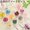お花のアソートセット 全12種 ケースつき 《 ネイルパーツ ドライフラワー プリザーブドフラワー パーツ 花 押し花 紫陽花 あじさい 封入パーツ レジン UVレジン レジン液 アクセサリーパーツ 》