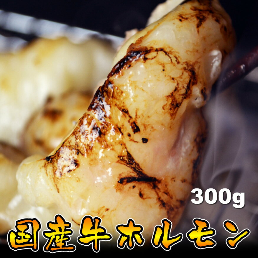  国産牛ホルモン300g(焼肉、バーベキュー、もつ鍋、ホルモンうどん等に、ホルモン焼き)05P01Sep13