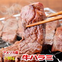  䒆 Mtg v[g a 2020  n~ US 100g ē o[xL[ BBQ