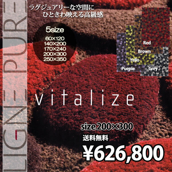 【レビューで5倍】【送料無料】●li 最高級の品質。斬新なデザインと新しいスタイルのラグ●250×350●インポート ハンドメイド セミオーダー ラグ マット カーペット-LIGNE PURE-vitalize 137.005.300,400,600,800,900【レビューで送料無料】【夏用】【Aug08P3】