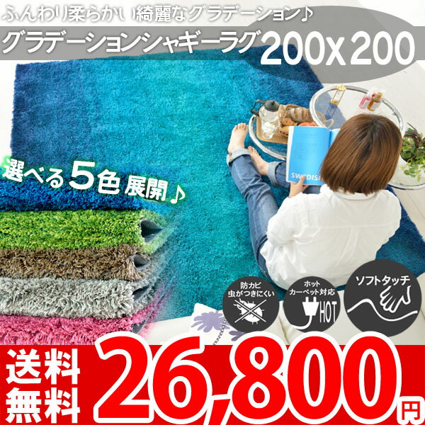 【楽天1位】【送料無料】 ni グラデーション シャギーラグ 200×200 デザイン おしゃれ ふ...:auc-nakane:10053852