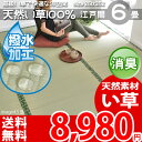 ..【送料無料】■い草 6畳カーペット 畳の上 夏