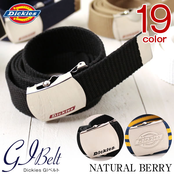 【今だけ!!店内全品送料無料】DICKIES ディ