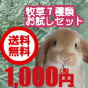 【送料無料】うさぎ 牧草お試しセット7種類のチモシーをポッキリ1000円【あす楽_土曜営業】【HLS...:auc-nbreed:10000000