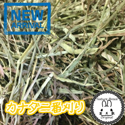 チモシー　プレミアム カナダ産 チモシー 2番刈/二番刈り 1kg 牧草、うさぎ、モルモッ…...:auc-nbreed:10000027