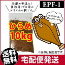 (メーカー直送)日清丸紅飼料ひらめEPF1(2.0mm)10kg/浮上性 コイのごはん 熱帯魚の餌 アロワナのエサ(金魚小屋-希-福岡)