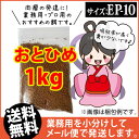 (送料無料※メール便K)日清丸紅飼料おとひめEP10(10〜...