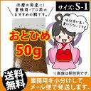 (送料無料※メール便N)日清丸紅飼料おとひめS1(1.0mm...