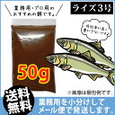 (送料無料※メール便★追跡なし)日清丸紅飼料ライズ3号(粒径0.36〜0.65mm)50g/メダカのごはん 稚魚の餌 グッピーのエサ(金魚小屋-希-福岡)