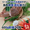 リーズナブルでお求めやすい!鳥取県産 訳あり若松葉ガニ1.2...