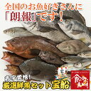 まずはお試し 厳選鮮魚セット宝船3780...