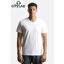 CITY LAB(USA)プレミアム Tシャツ(Vネック)無地 白/アイス ホワイト Classic fitted v-neck t-shirt Ice White スケボー SKATE SK8 スケートボード HARD CORE PUNK ハードコア パンク HIPHOP ヒップホップ SURF サーフ レゲエ reggae スノボー スノーボード Snowboard