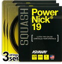スカッシュストリング、ガットASHAWAY:アッシャウェイパ...