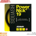 ASHAWAY アシャウェイ パワーニック19 Power Nick 19 AC-109C スカッシュ ストリング ガット ゲージ1.05mm 長さ9m