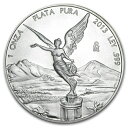 2013年 メキシコ リベルタード銀貨 1オンス 【40mmクリアーケース付き】