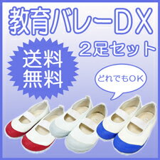 教育バレーシューズDX 上履き 上靴 2足で送料無料♪　】ポイント10倍♪祝ご入園・ご入学上履き祭り上靴2足で送料無料で大奉仕！