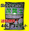【群馬県産/送料無料】木の葉100%使用 国産 腐葉土 40L×3袋セット