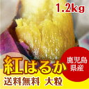 ※蜜いも 送料無料 訳あり 1.2kg 紅はるか 冷凍焼き芋【鹿児島産紅はるか 大粒】焼き芋 電子レンジ 蜜芋 冷凍 簡単 おいもや べにはるか やきいも【鹿児島 焼き芋専門ショップおいもや】
