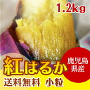 ※蜜いも 送料無料 【紅はるか1番人気!】 訳あり 1.2kg 紅はるか 冷凍焼き芋【鹿児島産紅はるか 小粒】焼き芋 電子レンジ 蜜芋 冷凍 簡単 おいもや べにはるか やきいも【鹿児島 焼き芋専門ショップおいもや】