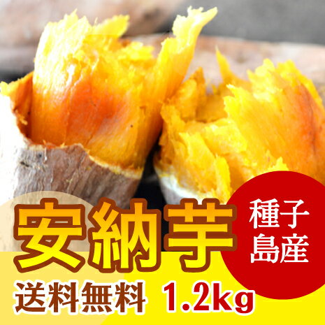 ※当店1番人気 訳あり 送料無料 安納芋 冷凍焼き芋 【種子島安納芋 小粒〜中粒 1.2kg】焼き芋...:auc-oimoya-kagoshima:10000036