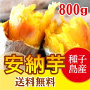 ※送料無料 安納芋 冷凍焼き芋 【種子島安納芋 800g】焼き芋 電子レンジ 安納蜜芋 焼き芋 冷凍 安納 簡単 おいもや やきいも【鹿児島 焼き芋専門ショップおいもや】