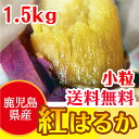 ※蜜いも 紅はるか 冷凍焼き芋【鹿児島産紅はるか 1.5kg】焼き芋 電子レンジ 蜜芋 冷凍 簡単 おいもや べにはるか やきいも【鹿児島 焼き芋専門ショップおいもや】