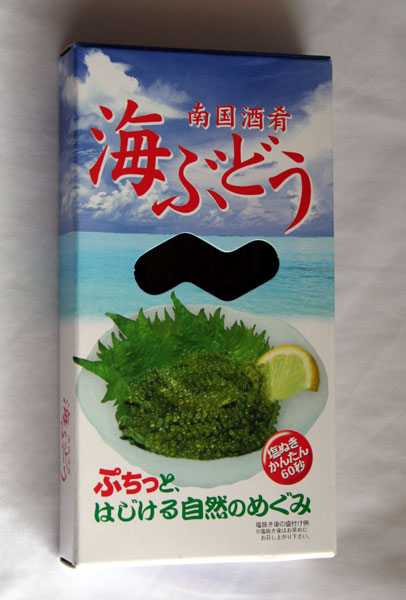 沖縄・石垣島より♪塩漬け海ぶどう♪塩抜き簡単「沖縄の長命草」とよばれるミネラルに富んだ海藻