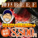 【あす楽対応】店主おまかせ神戸牛焼肉セット800g4?5人前【BBQ】【バーベキュー】【送料無料※一部地域+500円】