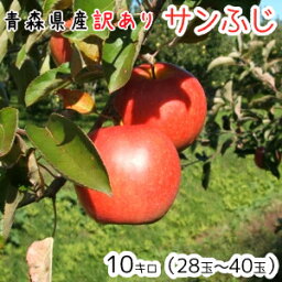 青森<strong>りんご</strong>☆送料無料☆訳あり<strong>りんご</strong>サンふじ<strong>10kg</strong>(10キロ)28〜40玉【わけあり<strong>りんご</strong>】発送11月20日頃から