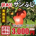 青森りんご☆送料無料☆訳ありりんごサンふじ10kg