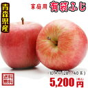 青森りんご☆送料無料☆家庭用有袋ふじ10キロ28-40玉