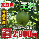 青森りんご☆送料無料☆家庭用王林5キロ14〜20玉